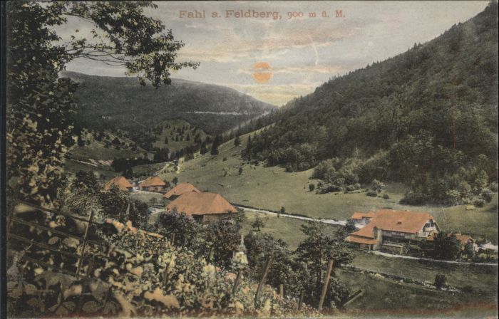 Fahl Feldberg