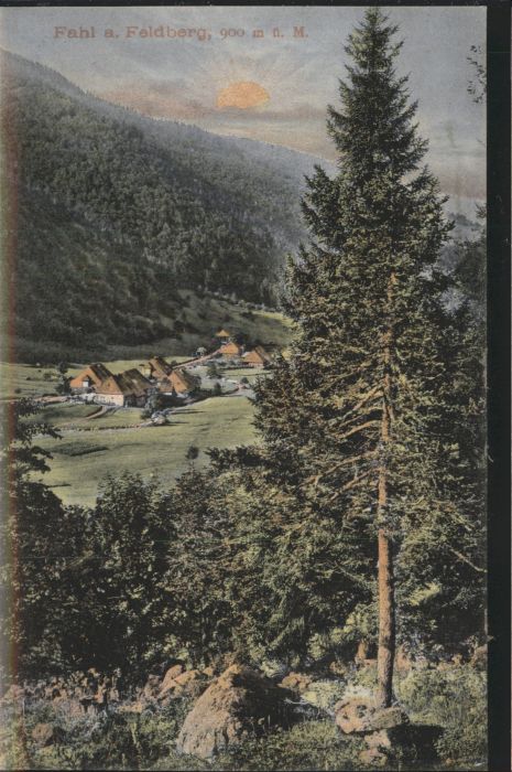 Fahl Feldberg