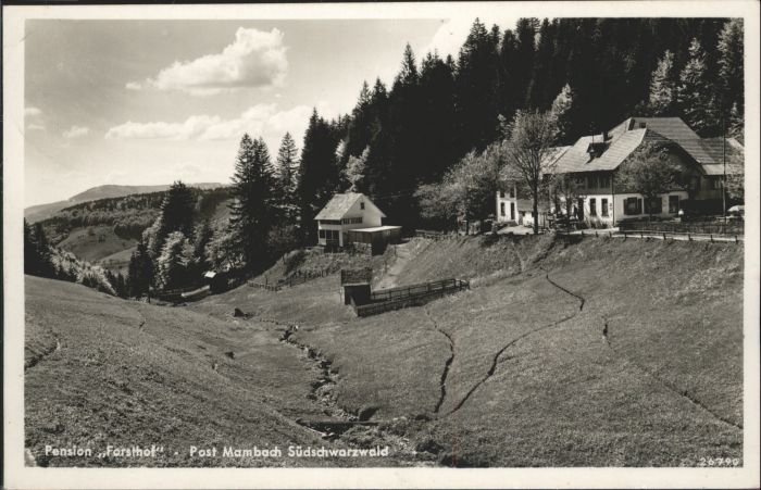 Mambach Pension Forsthof Südschwarzwald