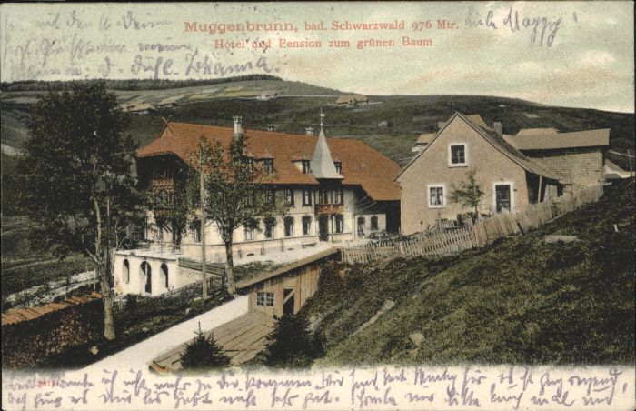 Muggenbrunn Hotel Pension Zum grünen Baum