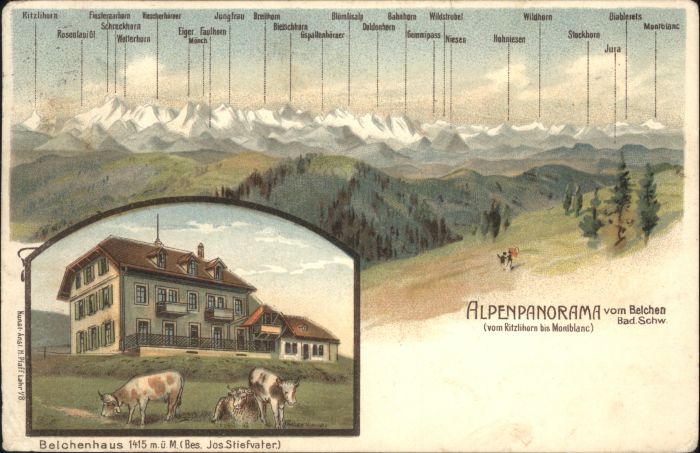 Belchen Baden Belchen Belchenhaus Kühe