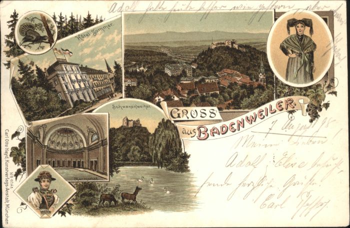 Badenweiler Schwanenweiher Hotel Sommer Reh