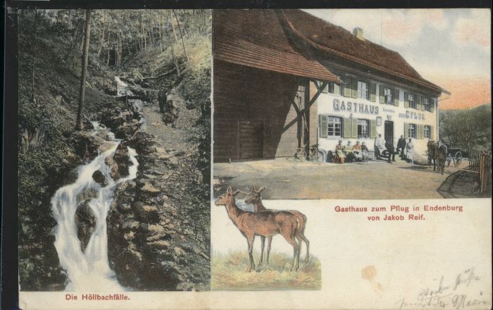 Endenburg Gasthaus Pflug Höllbachfälle Reh x
