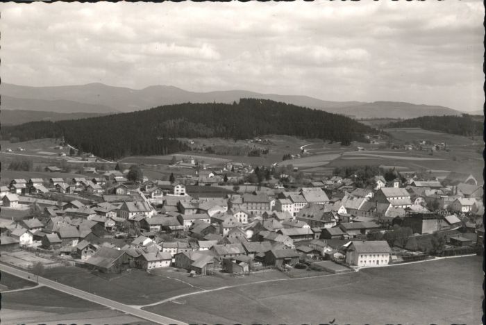 Ruhmannsfelden Regen Bayern Fliegeraufnahme