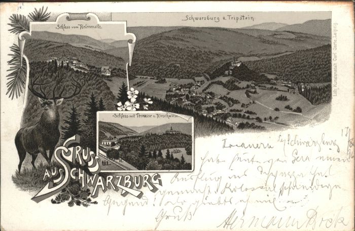 Schwarzburg Thueringer Wald Schloss  Schwarzburg Tripstein Hirsch