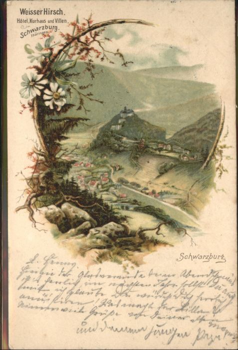 Schwarzburg Thueringer Wald Weisser Hirsch Blume