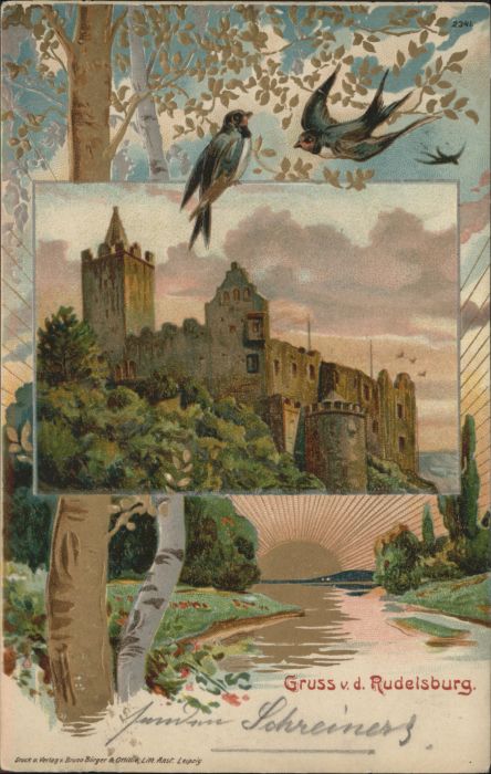 Rudelsburg Vogel
