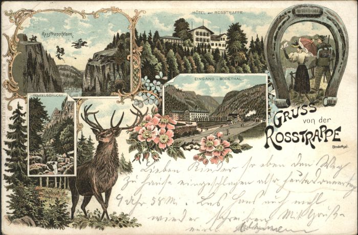 Thale Harz Rosstrappe Hirsch Hotel