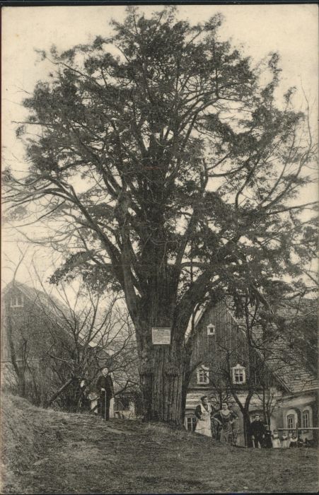 Krombach Tschechien Eibe