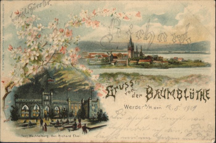 Werder Havel Baumblüthe