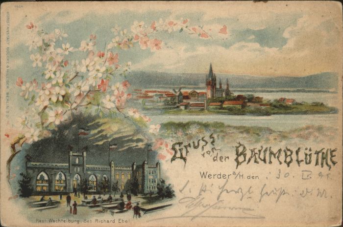 Werder Havel Baumblüthe