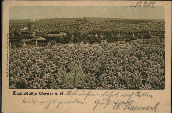 Werder Havel Baumblüthe