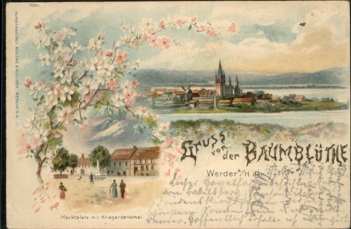 Werder Havel Baumblüthe