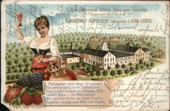 Goeppersdorf Burgstaedt