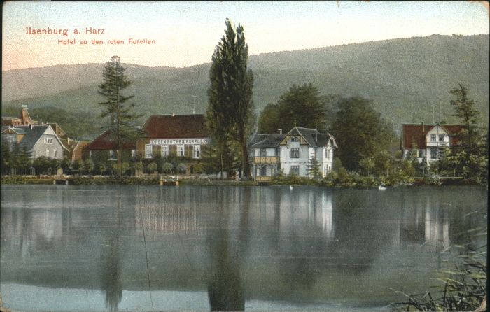 Ilsenburg Harz Hotel Forellen