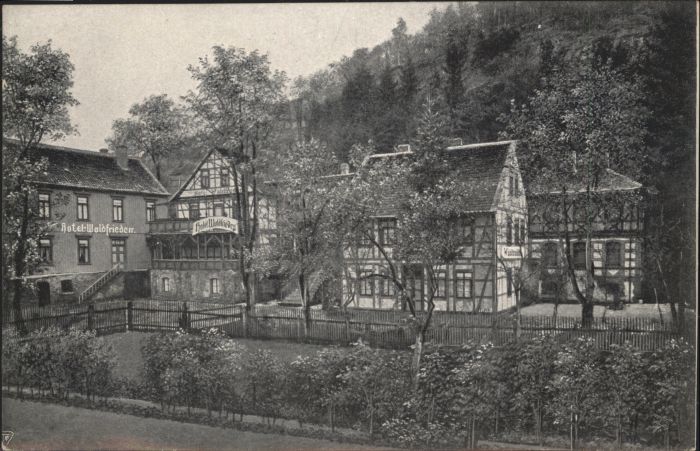 Altenbrak Harz Hotel Waldfrieden