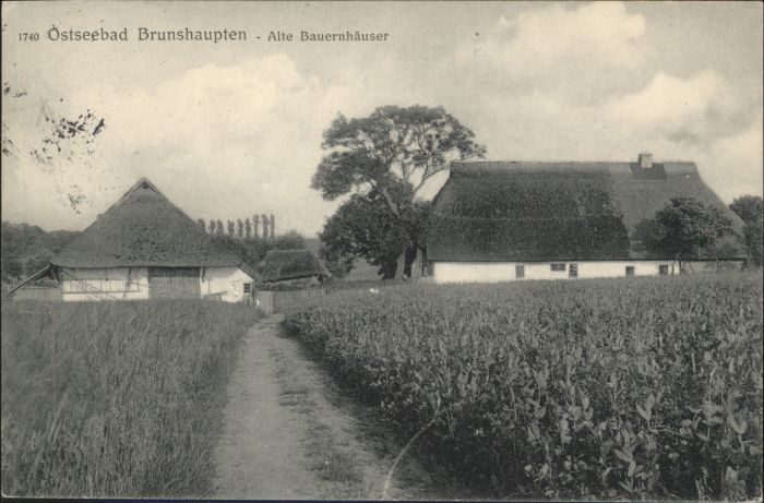 Brunshaupten Bauernhäuser