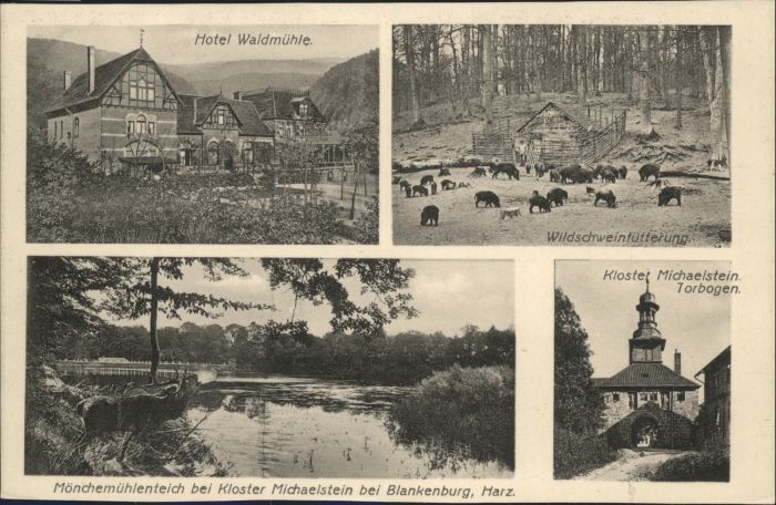 Blankenburg Harz Hotel Waldmuehle Moenchemuehlenteich Kloster Michaelstein Wilds