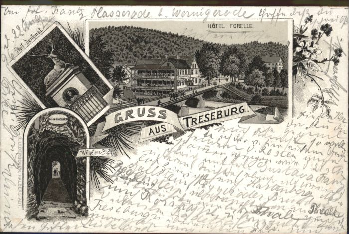 Ilsenburg Harz Hotel Forelle