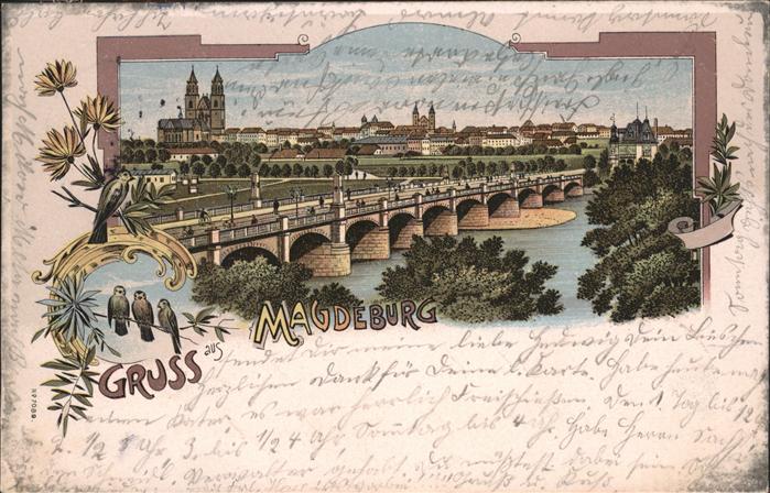 Magdeburg Vögel Brücke
