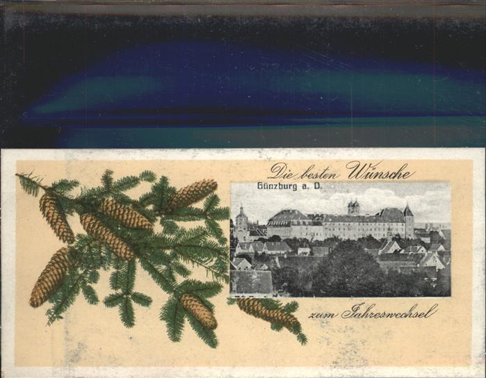 Guenzburg Tannenzweig Jahreswechsel