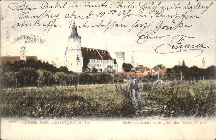 Lauingen Donau Schlossansicht