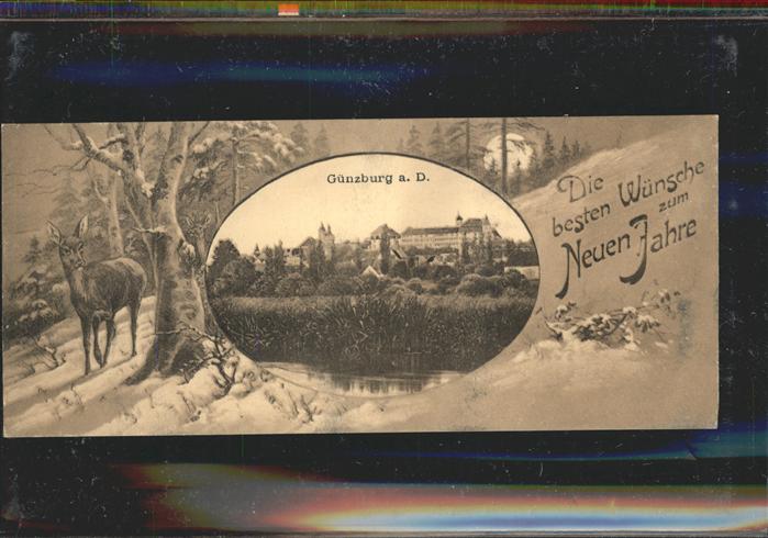 Guenzburg Reh Neu Jahr