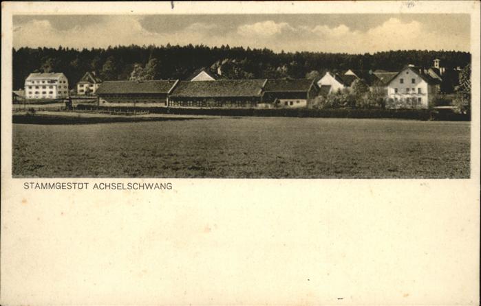 Achselschwang Stammgestüt