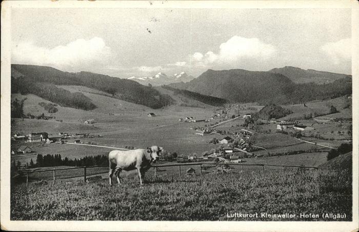 Kleinweiler Hofen Kuh