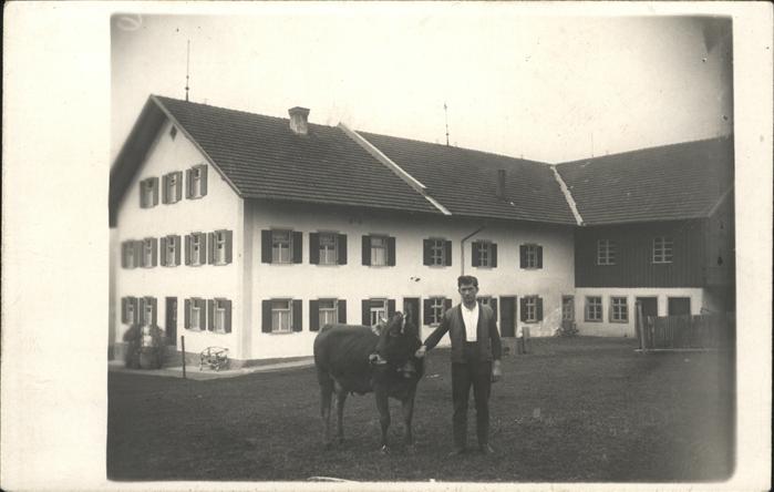 Wildpoldsried [Handschriftlich] Kuh