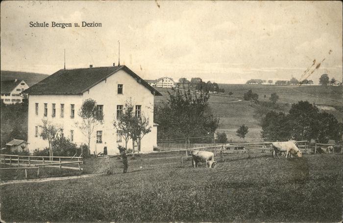 Dezion Schule Bergen Kühe