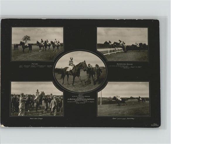 BERLIN  CITY Parade Pferd