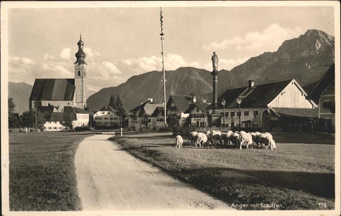 Anger Bayern Stauffen Schafe