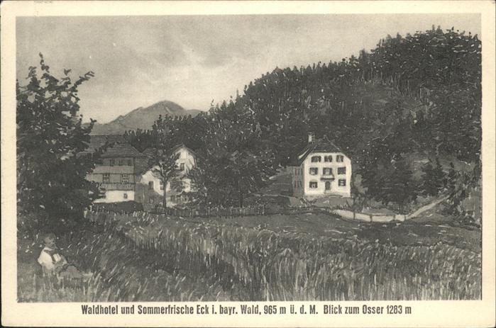 Lam Oberpfalz Wald Hotel Eck