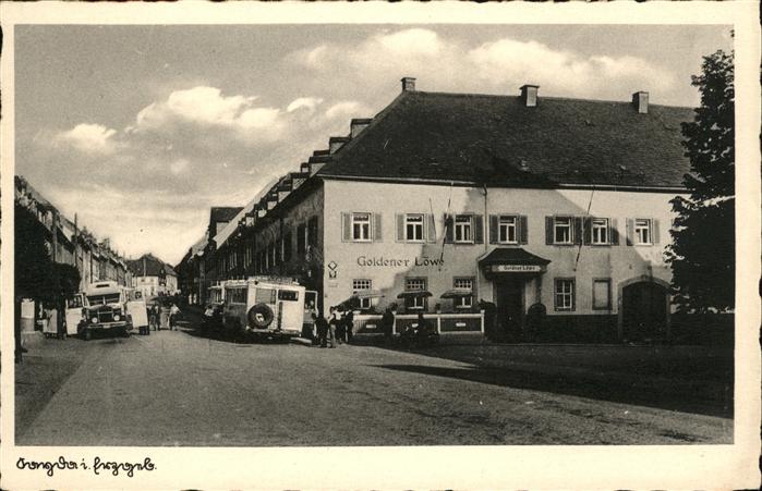 Sayda Goldener Löwe