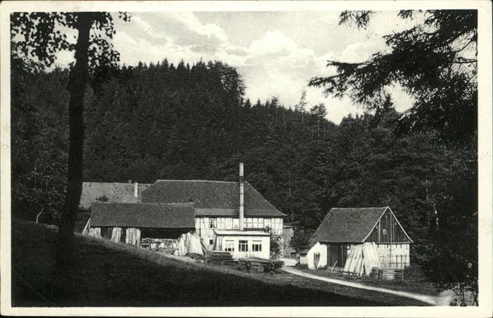 Eisenberg Thueringen Waldhaus Froschmühle