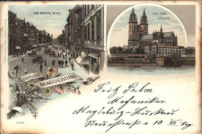 Magdeburg Dom Breite Weg Kutsche Strassenbahn