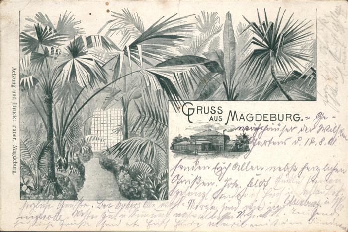 Magdeburg Palmen