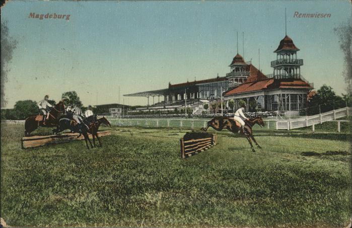 Magdeburg Rennweisen Pferde