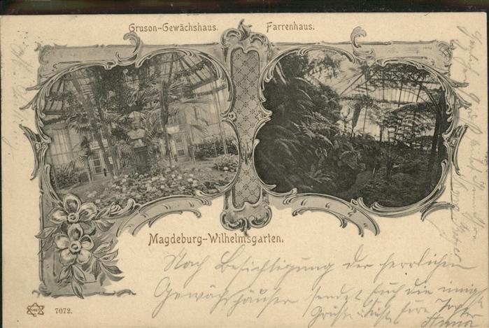 Magdeburg Farrenhaus Wilhelmsgarten Gruson Gewäch