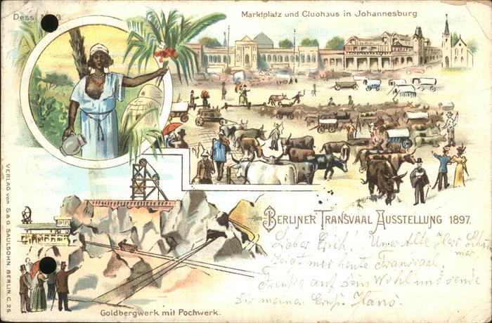 Berlin Transvaal Ausstellung Kühe Goldbergwerk