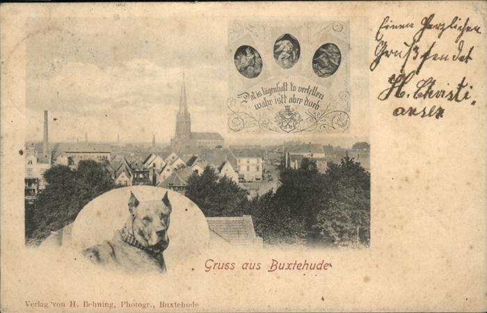 Buxtehude Hund