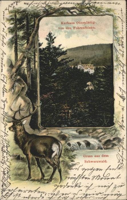 Plaettig Kurhaus Oberplättig Hirsch