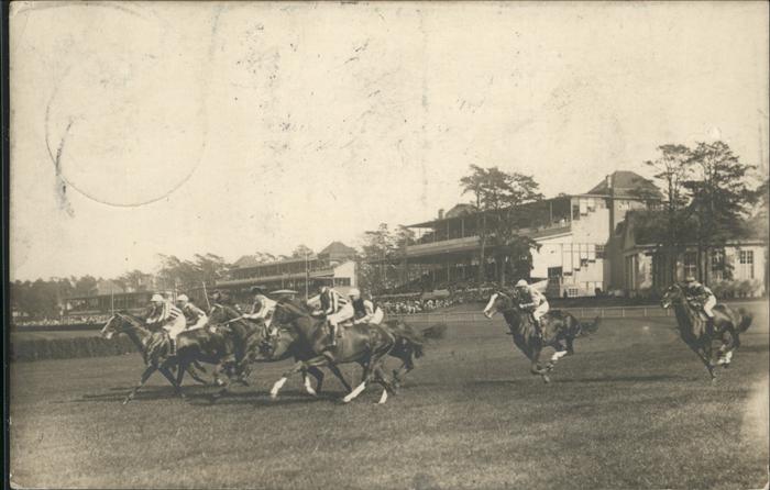 Charlottenburg Pferde