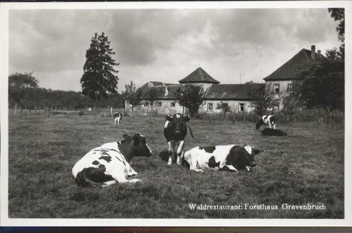 Gravenbruch Waldrestaurant
Forsthaus