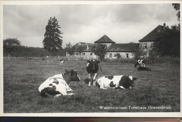 Gravenbruch Waldrestaurant
Forsthaus