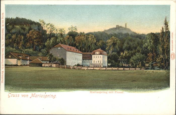 Bovenden Mariaspring
Plesse