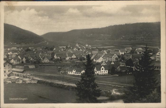 Immendingen Gesamtansicht
