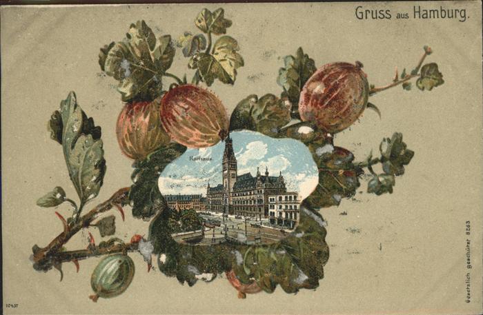 Hamburg Rathaus Prägedruck