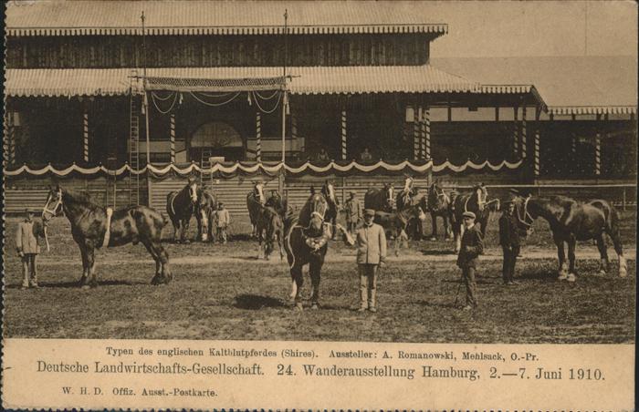 Hamburg Wanderausstellung Pferde